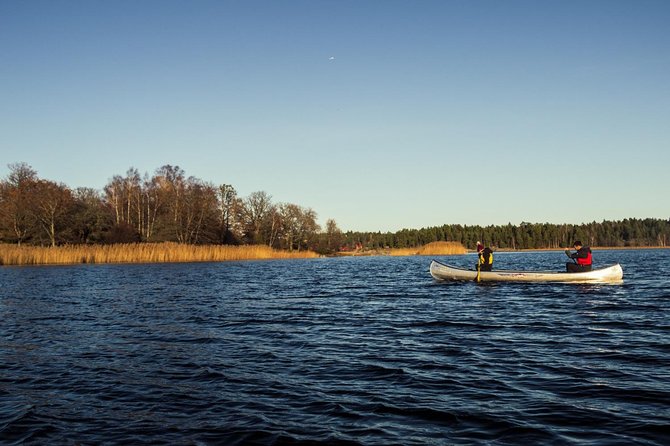 Canoe adventure in Stockholm Archipelago - Wildlife Spotting: Beavers and Coastal Birds