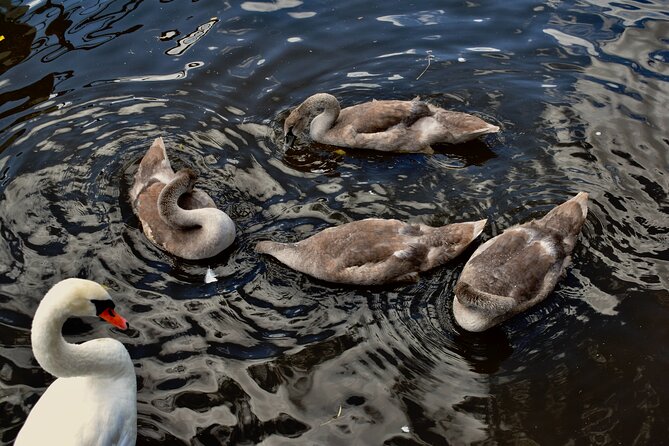 Canoe Adventure Tour Through Prague - The Guide: Knowledgeable and Friendly
