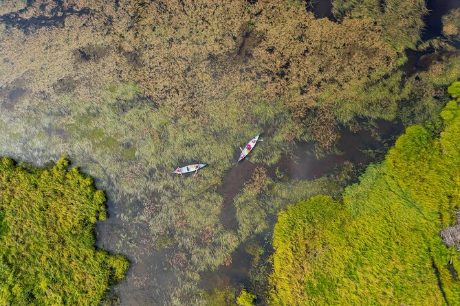 Canoe Trip to the Reindeer Farm from Rovaniemi - Why Choose This Canoe & Reindeer Adventure?