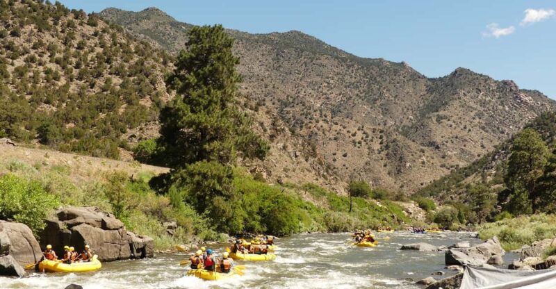 Cañon City: Bighorn Sheep Canyon Guided Rafting Adventure - Key Points