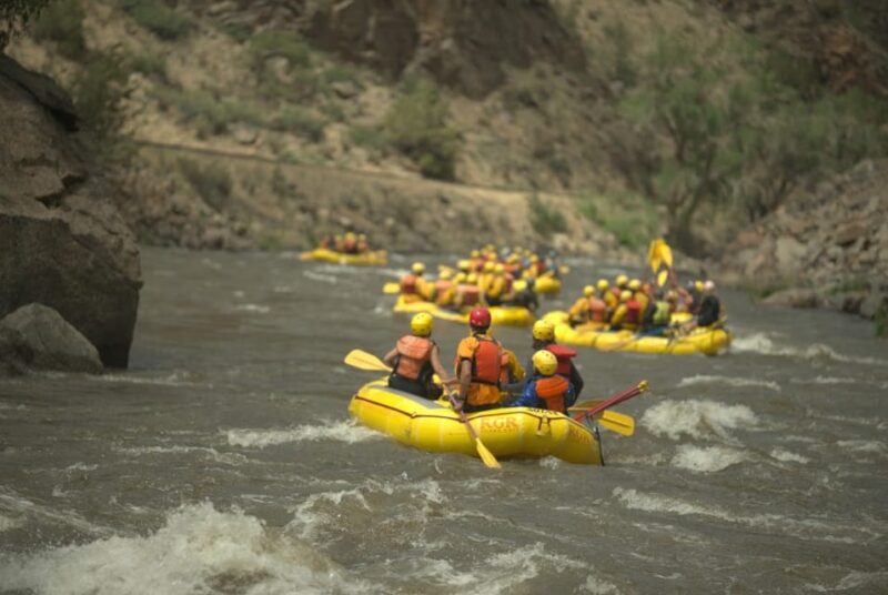 Cañon City: Bighorn Sheep Canyon Guided Rafting Adventure - Why This Rafting Tour Stands Out