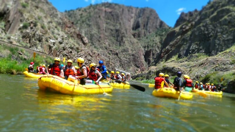 Cañon City: Royal Gorge Half-Day Whitewater Rafting - Physical Requirements and Suitability