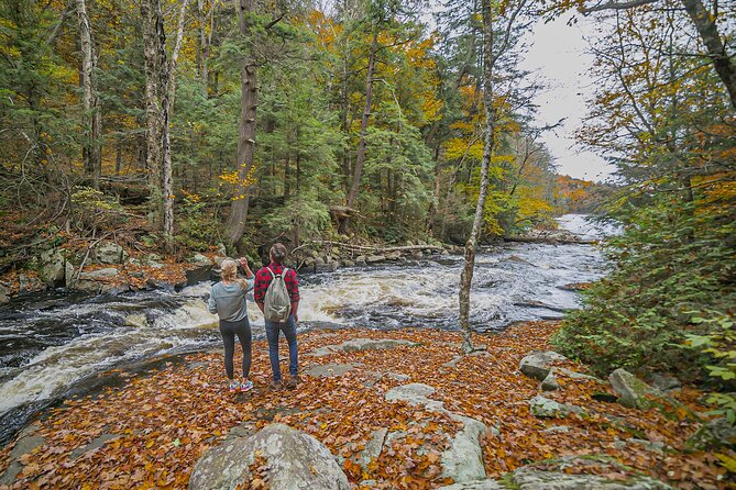 Canopy Tour at Haliburton Forest - Haliburton Forest and Wild Life Reserve: The Starting Point