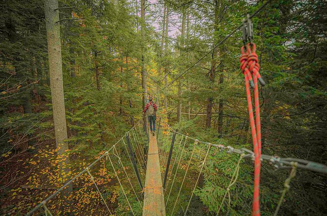 Canopy Tour at Haliburton Forest - Weather and Cancellation Policies