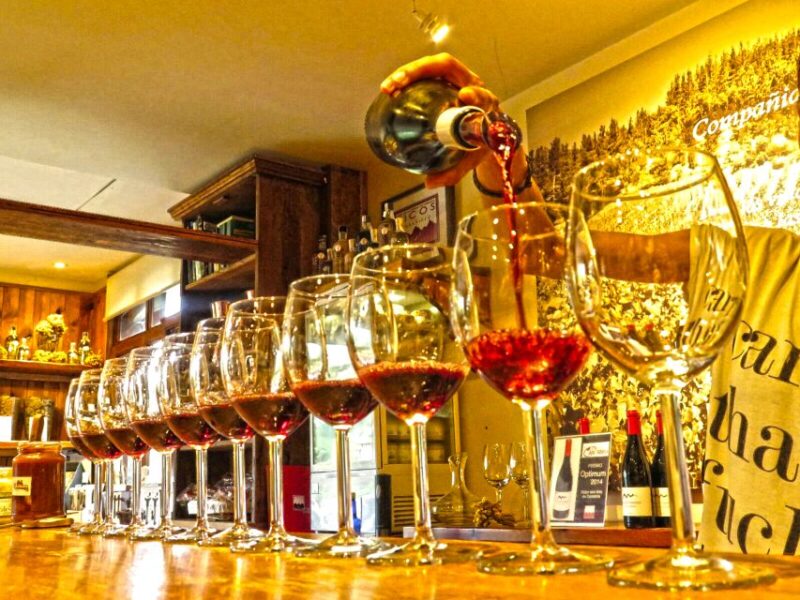 Cantabria: Wine and Liquor Tasting Guided Tour with Snacks - The Unique Artisanal Method of Distillation