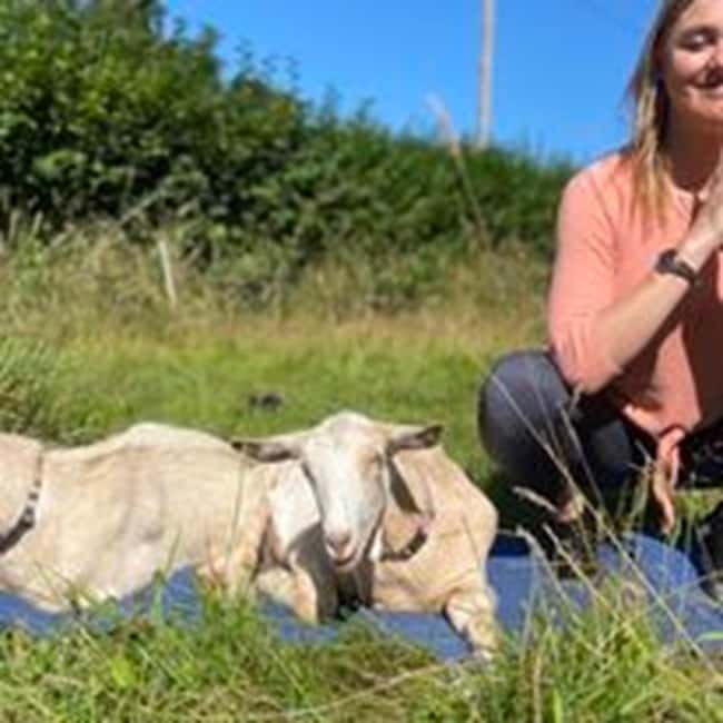 Canterbury: Yoga with Goats and Sheep - The Variety of Animals You’ll Meet