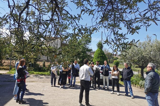Cantine d'Irpinia: visit and tasting Taurasi from ancient vineyards - Inside the Cellar: Winemaking Techniques Unveiled