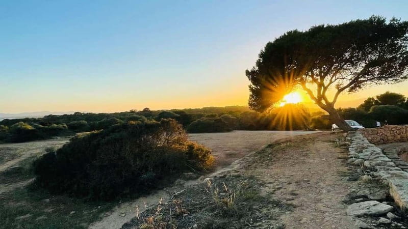 Canyamel: TimeForTwo, fun game,quiz and walk in nature - How the App Guides the Outdoor Quest