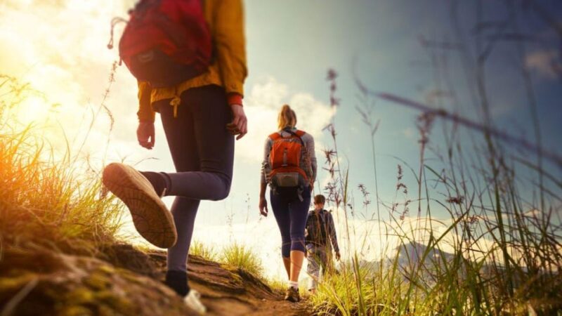 Canyamel: TimeForTwo, fun game,quiz and walk in nature - Frequently Asked Questions