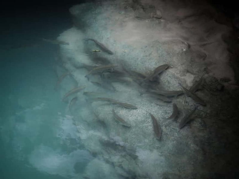 Canyon and Cave Tour from Batumi(Martvili,Okatse,Prometheus) - Authentic Encounters with Georgia’s Natural Beauty