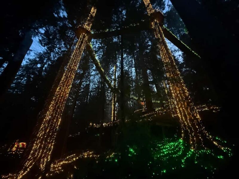 CANYON LIGHTS+Capilano Suspension Bridge/Small Group/CAR - Key Points