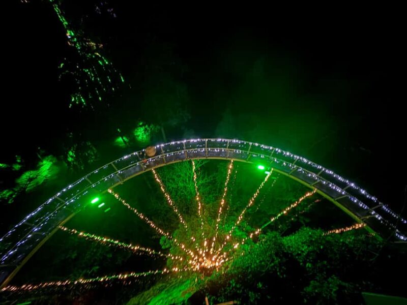 CANYON LIGHTS+Capilano Suspension Bridge/Small Group/CAR - Vancouver’s Premier Suspension Bridge and Treetops Experience