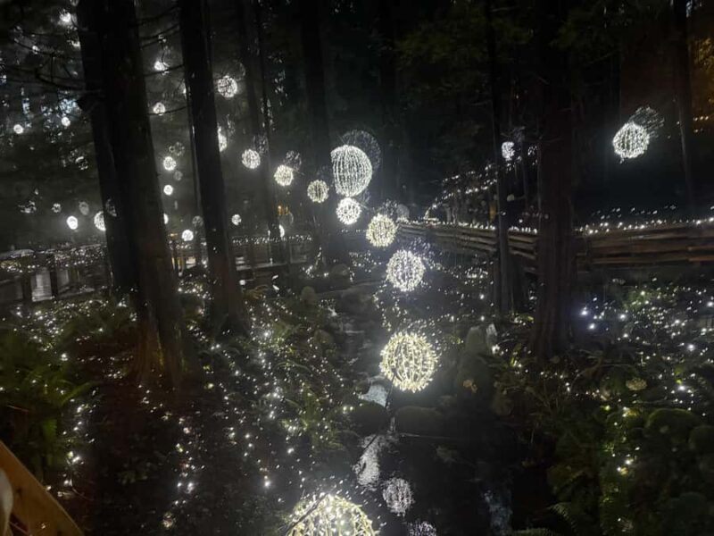 CANYON LIGHTS+Capilano Suspension Bridge/Small Group/CAR - The Capilano Suspension Bridge Park Highlights