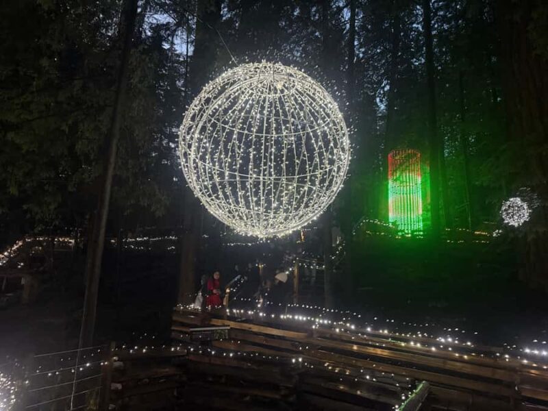 CANYON LIGHTS+Capilano Suspension Bridge/Small Group/CAR - The Intimate Experience of Guided Tours with Expert Guides