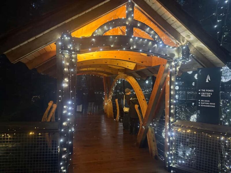 CANYON LIGHTS+Capilano Suspension Bridge/Small Group/CAR - Convenience and Accessibility of the Tour Logistics