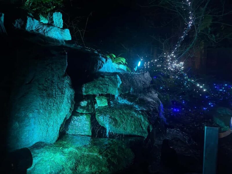 CANYON LIGHTS+Capilano Suspension Bridge/Small Group/CAR - Frequently Asked Questions