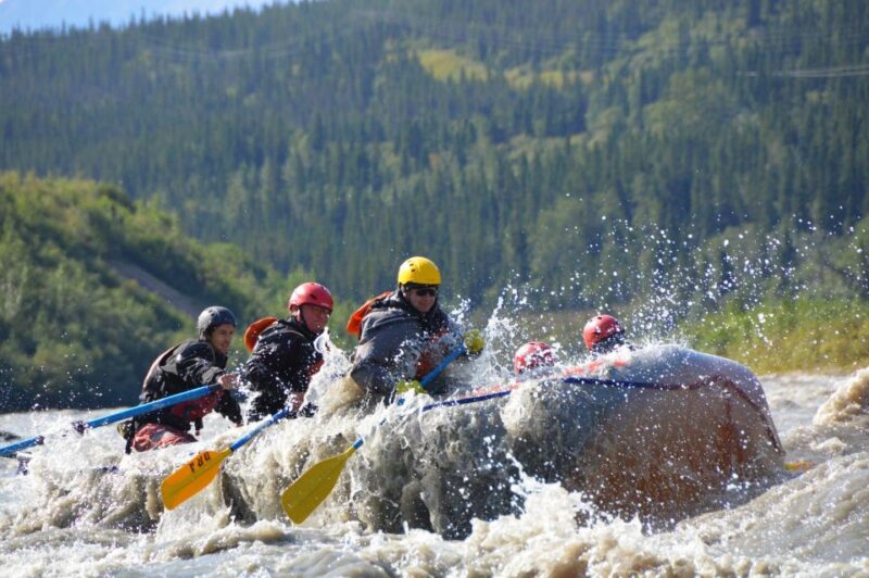 Canyon Run: Denali National Park Class IV Whitewater Rafting - Who Is Best Suited for This Tour?
