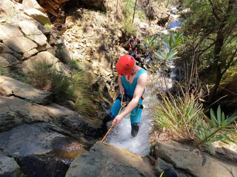 Canyoning Estepona: Guided Adventure in the Sierra Bermeja Natural Park - Key Points