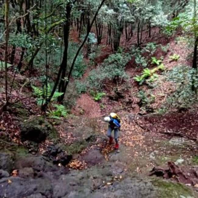 Canyoning in Anaga - Exploring the Anaga Natural Park Canyoning Route