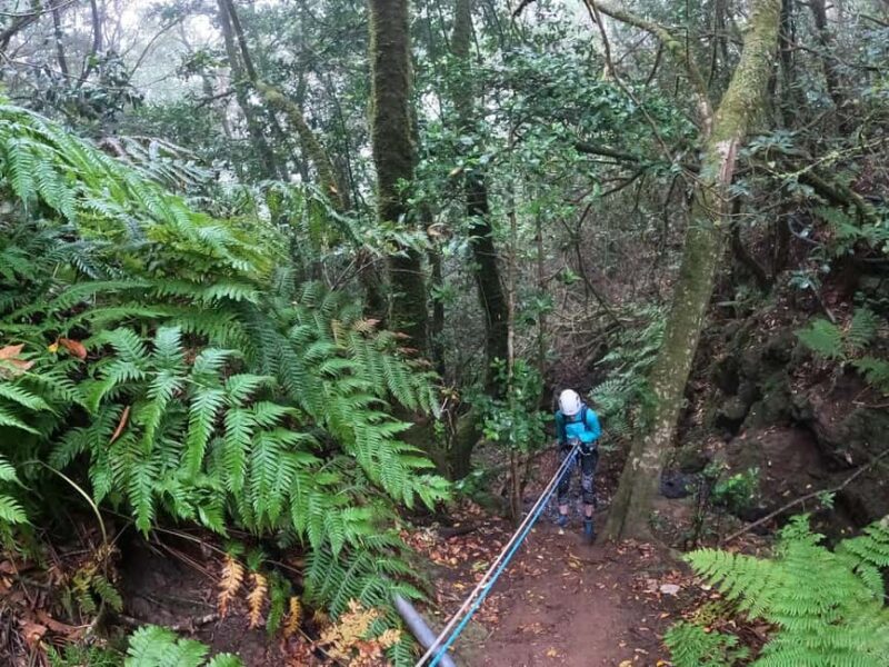 Canyoning in Anaga - Accessibility and Physical Requirements for the Tour