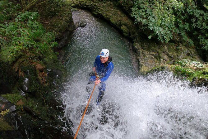 Canyoning in Ribeira da Salga - The Walk Back through Cryptomerias and Endemic Trees