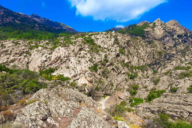 Canyoning in Rio Pitrisconi and Monte Nieddu in San Teodoro - Trekking into the Heart of the Canyon