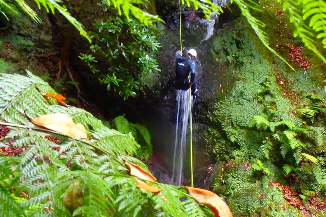 Canyoning Madeira Island - Level One - Physical Demands and Participant Requirements