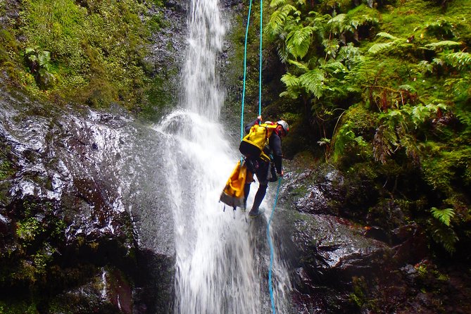 Canyoning Madeira Island - Level Two - Why This Tour Stands Out in Madeira