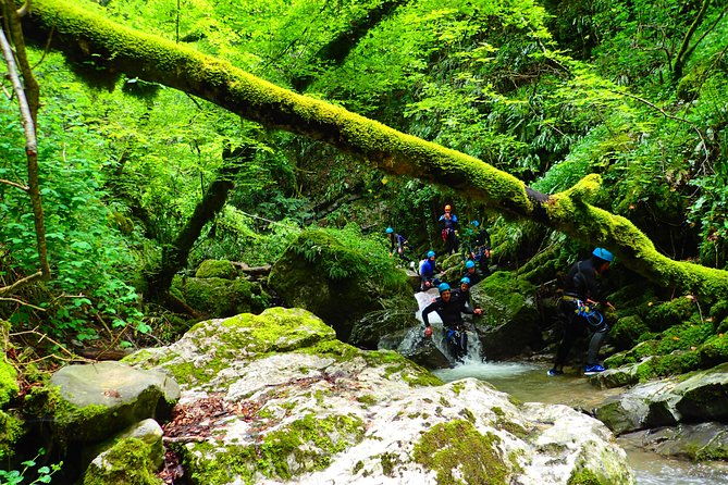 Canyoning sensation of Angon on the shores of Lake Annecy - Booking and Cancellation Policy
