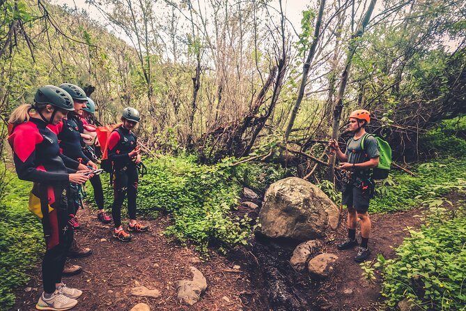 Canyoning with Waterfalls in the Rainforest - Small Groups - Key Points