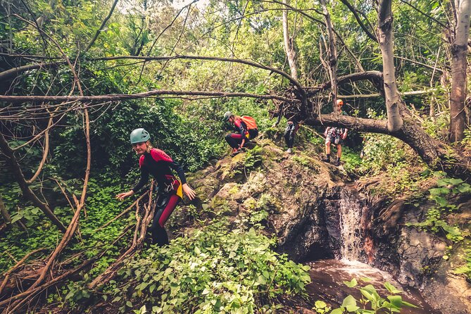 Canyoning with Waterfalls in the Rainforest - Small Groups - All Necessary Equipment and Safety Measures