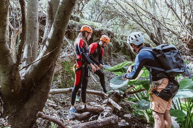 Canyoning with Waterfalls in the Rainforest - Small Groups - The Unique Thrills of Waterfalls and Natural Slides
