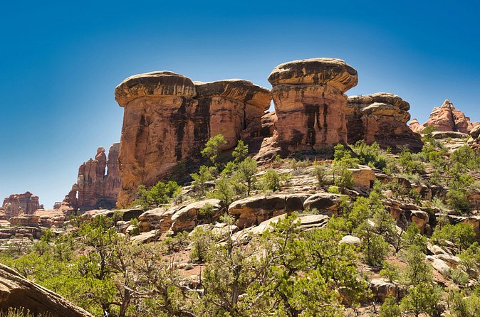 Canyonlands Full Day Private Tour and Hike - The Role of Expert Naturalist Guides