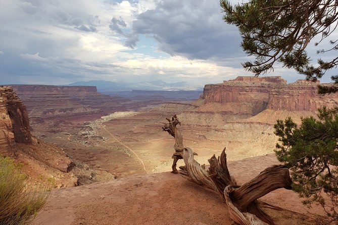 Canyonlands National Park Backcountry 4x4 Adventure from Moab - Insights from Experienced Guides
