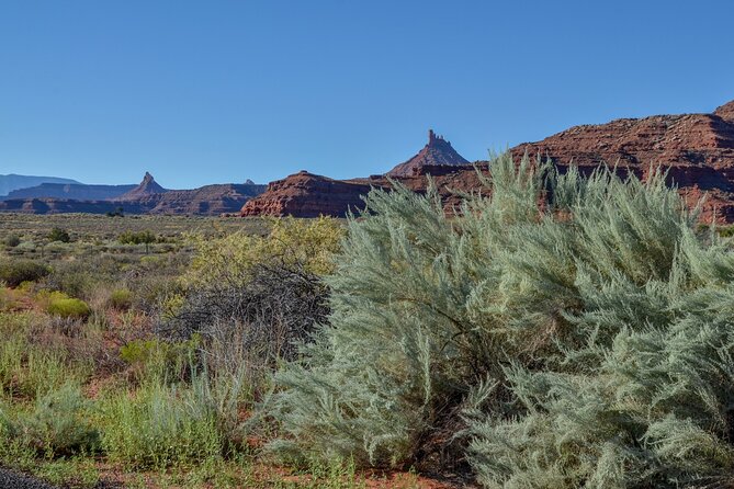 Canyonlands Needles District Self Guided Driving Audio Tour - Scenic Views at Pothole Point and Indian Creek Corridor