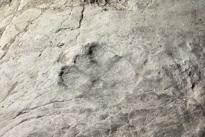 CANYONS & CAVE Tour from Kutaisi - Okatse, Martvili & Prometheus - Physical Requirements and Accessibility