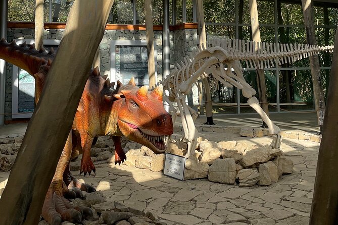 CANYONS & CAVE Tour from Kutaisi - Okatse, Martvili & Prometheus - Food and Drink Options During the Tour