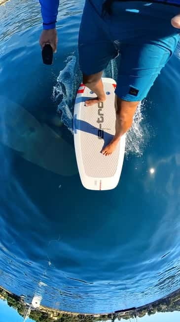 CAP D'ANTIBES: AUDI EFOIL PREMIUM EXPERIENCE - Experience the Unique Thrill of Efoil in Cap dAntibes for $281