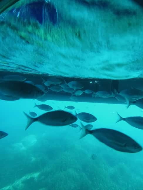 Cap De Creus: Explore and live an Aquatic World - Visiting the Cave of Hell and Reaching Cap de Creus