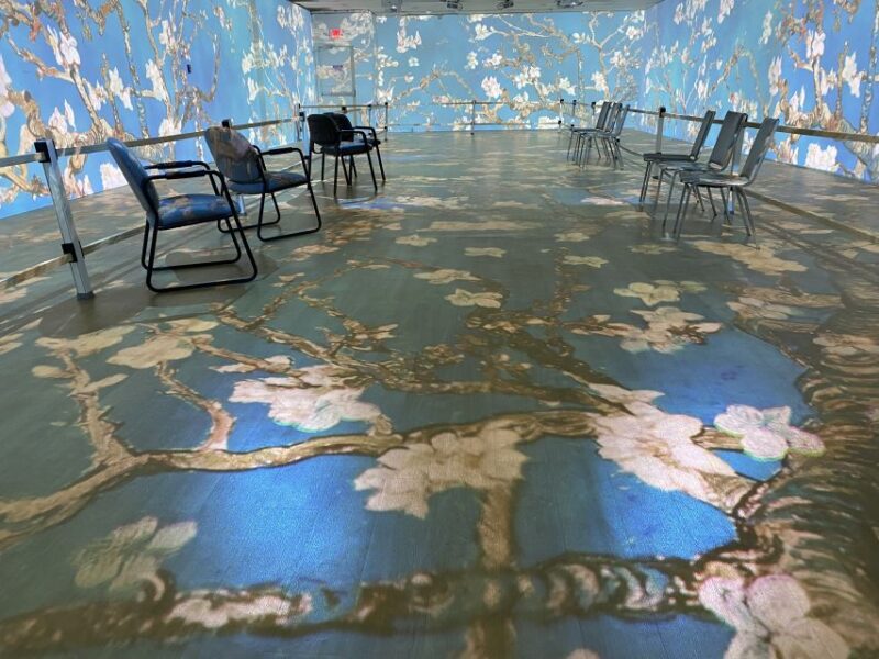 Cape Canaveral: Wizard of Oz Museum Entry Ticket - Tour Duration and Pacing