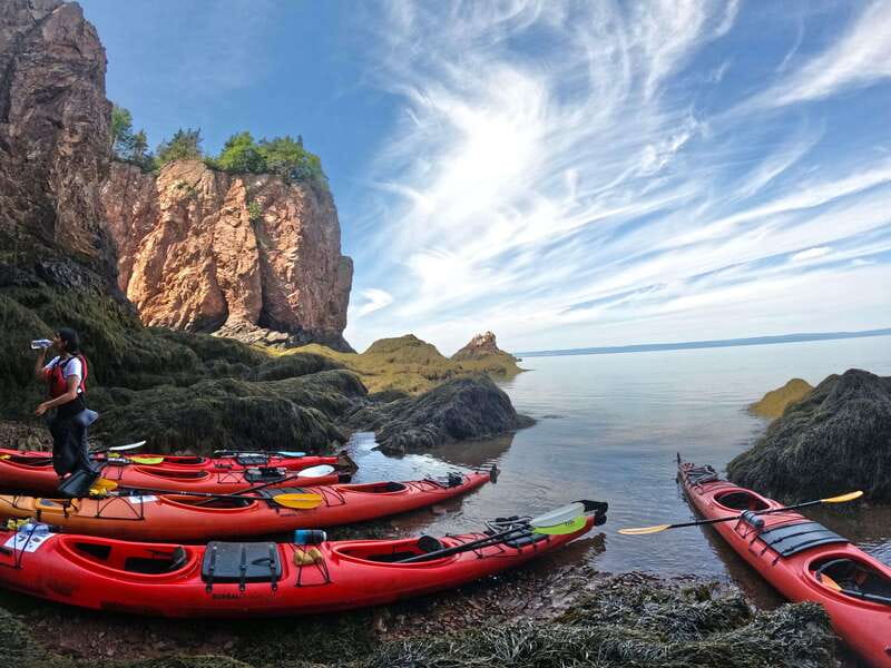 Cape Chignecto: Three Sisters Kayaking Day Tour - Who Will Enjoy This Tour Most