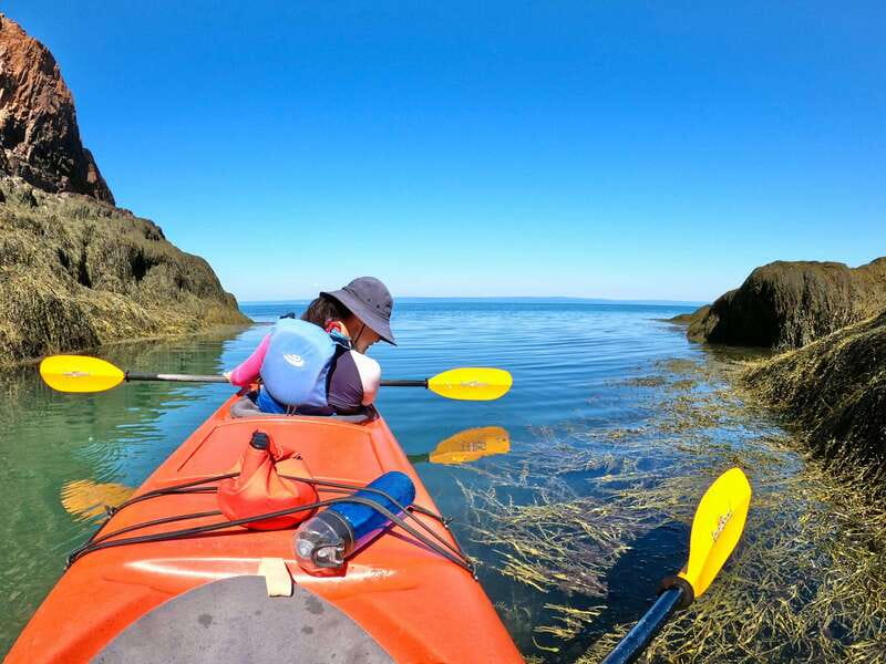 Cape Chignecto: Three Sisters Kayaking Day Tour - Frequently Asked Questions