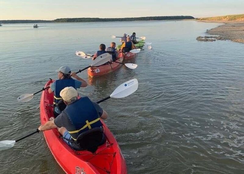 Cape Cod: Explorer Kayak Tour - Exploring Barrier Beaches and Cape Cod Real Estate
