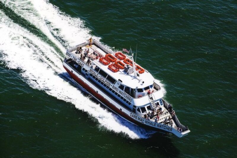 Cape May: Grand Lighthouse Cruise - Why This Tour Stands Out