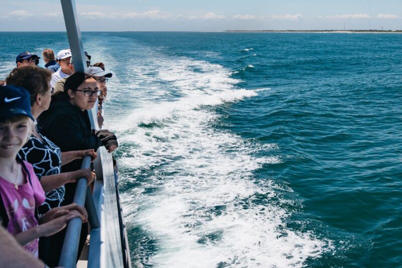 Cape May: Jersey Shore Whale and Dolphin Watching Cruise - Food, Drinks, and Onboard Comfort