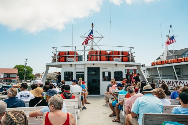 Cape May: Jersey Shore Whale and Dolphin Watching Cruise - What Sets This Tour Apart from Others