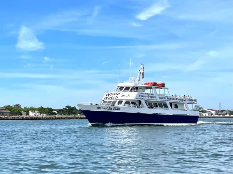 Cape May: Scenic Whale and Dolphin Watching Cruise - Discover the Cape May: Scenic Whale and Dolphin Watching Cruise