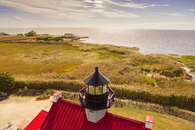 Cape May: Weekend Whale and Dolphin Watching Cruise - Explore Cape May on a 2-Hour Dolphin and Whale Watching Cruise