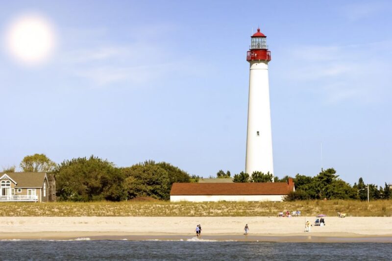 Cape May: Weekend Whale and Dolphin Watching Cruise - Comparing Similar Tours in Cape May