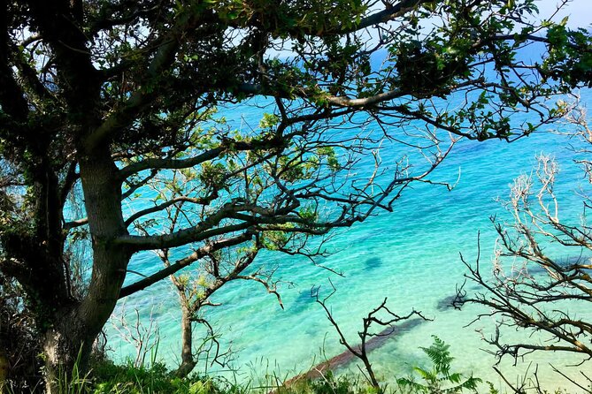 Cape of Rodon & Bunkers Day Tour Adventure from Durres - Starting the Adventure: From Durres to the Albanian Countryside